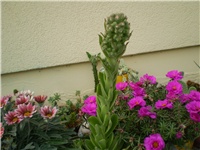 1edc6527-Picture 2659.jpg